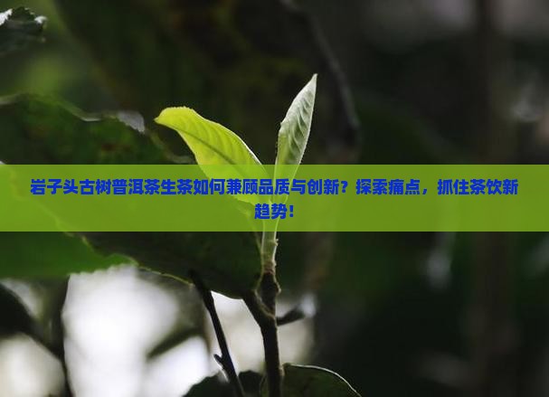 岩子头古树普洱茶生茶如何兼顾品质与创新？探索痛点，抓住茶饮新趋势！