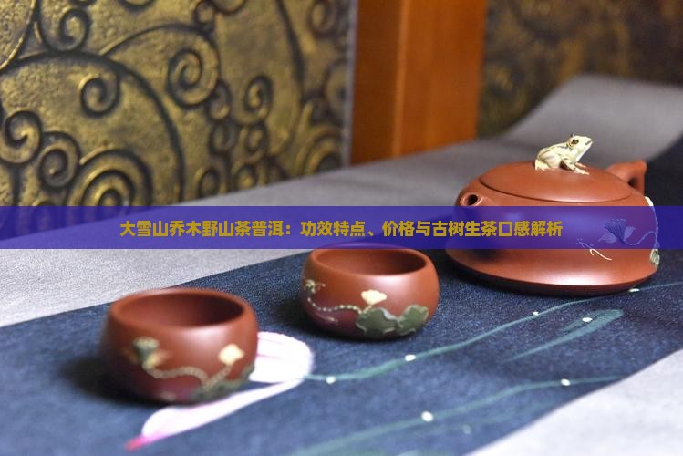 大雪山乔木野山茶普洱：功效特点、价格与古树生茶口感解析