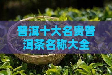普洱十大名贵普洱茶名称大全 普洱十大名贵普洱茶名称大全