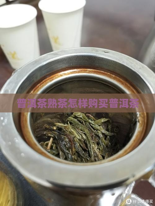 普洱茶熟茶怎样购买普洱茶