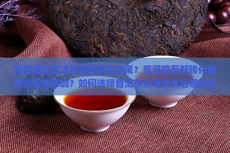 哪些地区普洱茶后期转化效果？普洱茶后期转化受哪些因素影响？如何选择普洱茶以确保其后期转化质量？