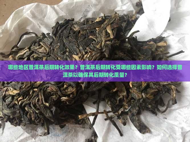 哪些地区普洱茶后期转化效果？普洱茶后期转化受哪些因素影响？如何选择普洱茶以确保其后期转化质量？