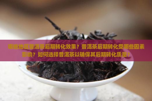 哪些地区普洱茶后期转化效果？普洱茶后期转化受哪些因素影响？如何选择普洱茶以确保其后期转化质量？