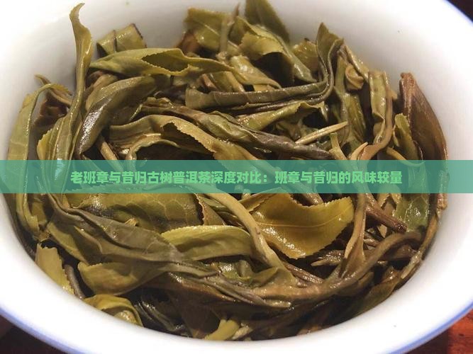 老班章与昔归古树普洱茶深度对比：班章与昔归的风味较量