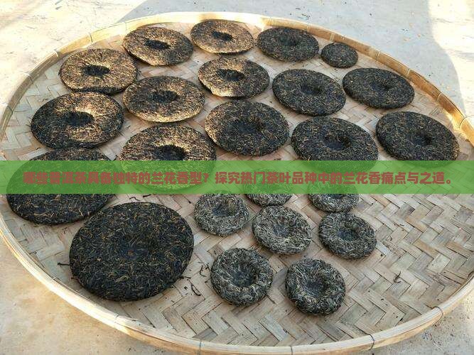 哪些普洱茶具备独特的兰花香型？探究热门茶叶品种中的兰花香痛点与之道。