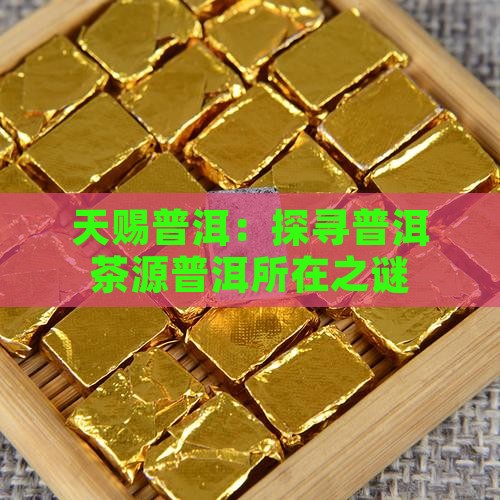 天赐普洱：探寻普洱茶源普洱所在之谜
