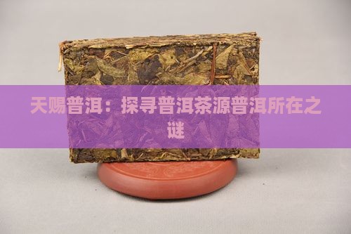 天赐普洱：探寻普洱茶源普洱所在之谜