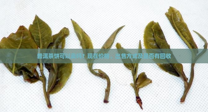 普洱茶饼可以卖吗？现在价格、出售方式及是否有回收