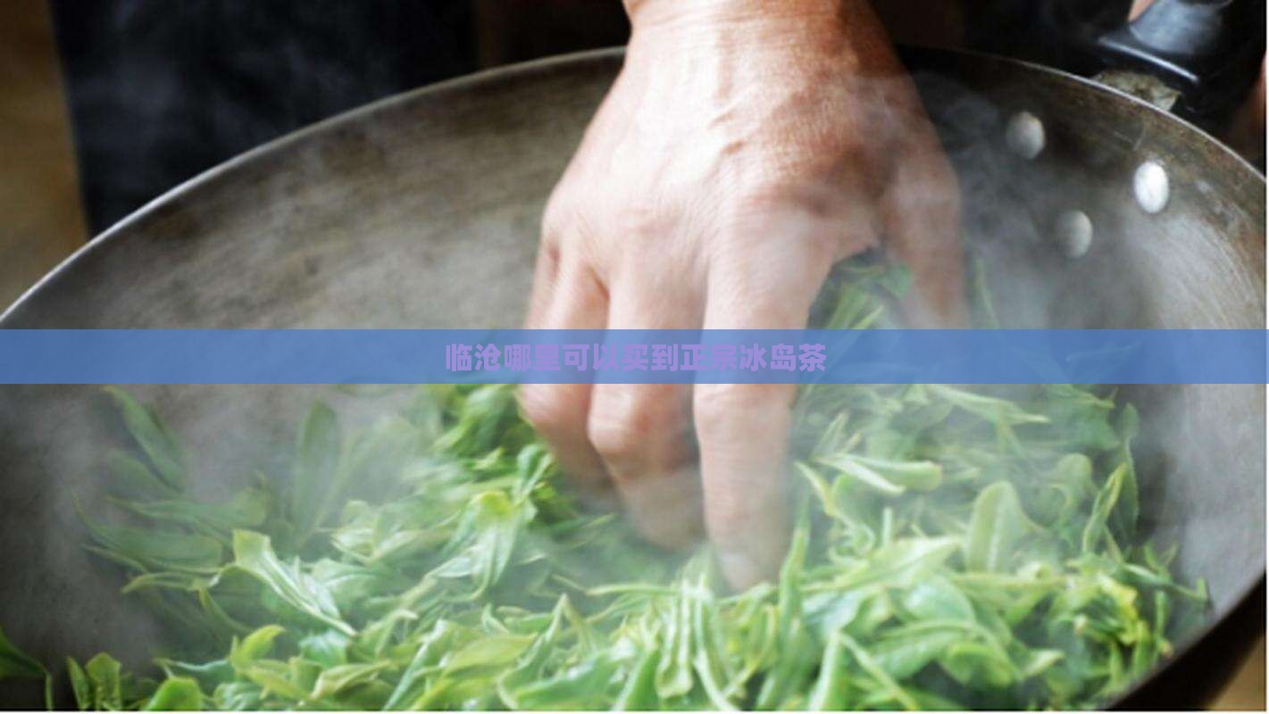 临沧哪里可以买到正宗冰岛茶