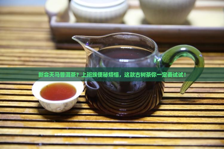 新会天马普洱茶？上班族便秘烦恼，这款古树茶你一定要试试！