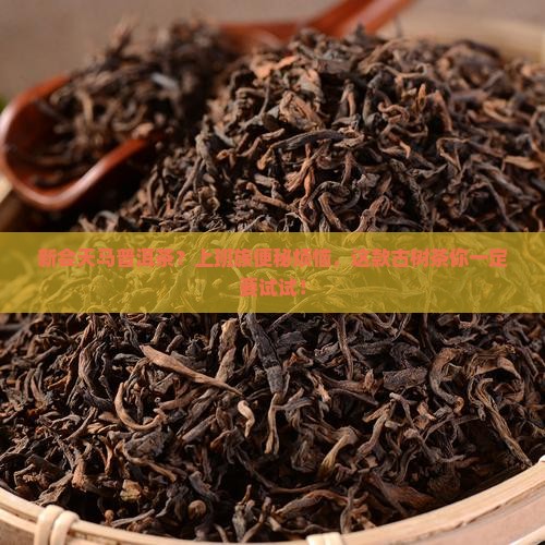 新会天马普洱茶？上班族便秘烦恼，这款古树茶你一定要试试！