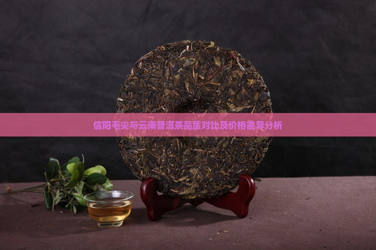 信阳毛尖与云南普洱茶品质对比及价格差异分析