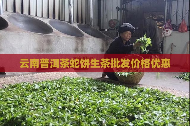 云南普洱茶蛇饼生茶批发价格优惠