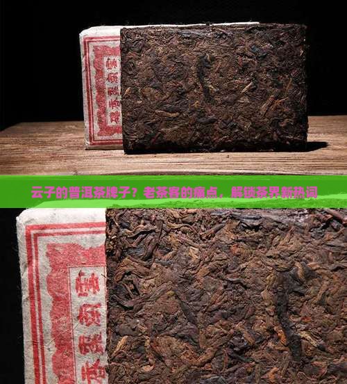 云子的普洱茶牌子？老茶客的痛点，解锁茶界新热词