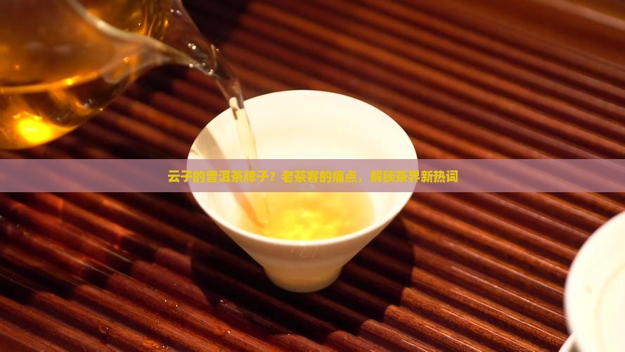 云子的普洱茶牌子？老茶客的痛点，解锁茶界新热词
