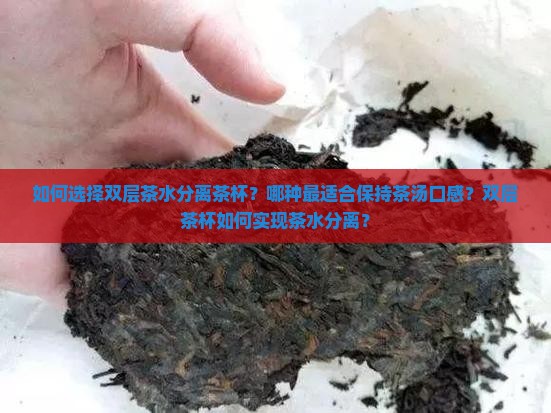 如何选择双层茶水分离茶杯？哪种最适合保持茶汤口感？双层茶杯如何实现茶水分离？