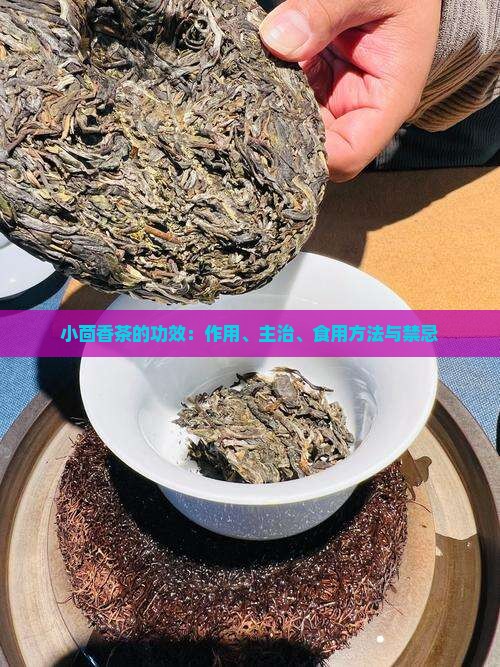 小茴香茶的功效：作用、主治、食用方法与禁忌