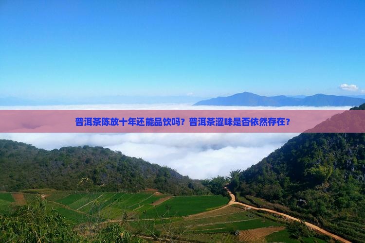 普洱茶陈放十年还能品饮吗？普洱茶涩味是否依然存在？