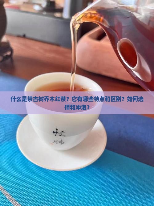 什么是茶古树乔木红茶？它有哪些特点和区别？如何选择和冲泡？