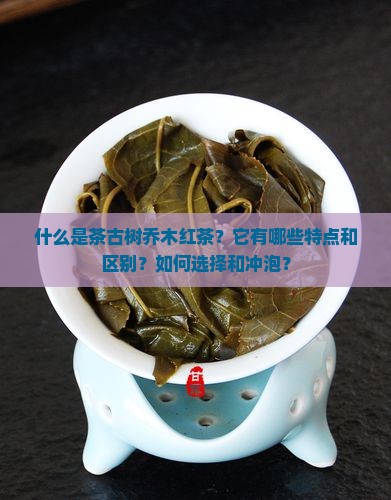 什么是茶古树乔木红茶？它有哪些特点和区别？如何选择和冲泡？