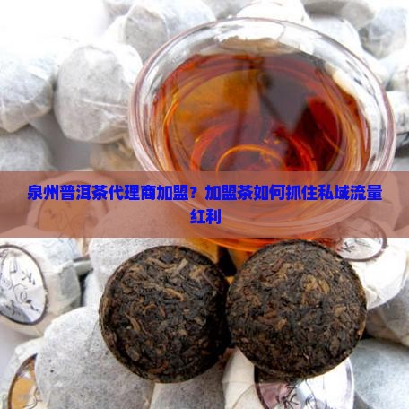 泉州普洱茶代理商加盟？加盟茶如何抓住私域流量红利