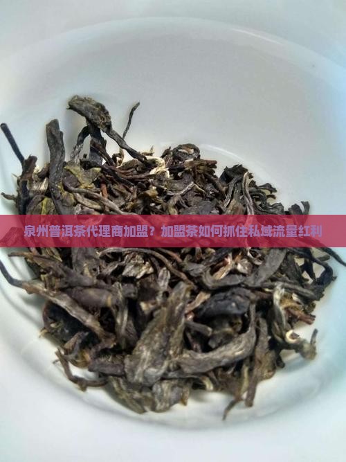 泉州普洱茶代理商加盟？加盟茶如何抓住私域流量红利