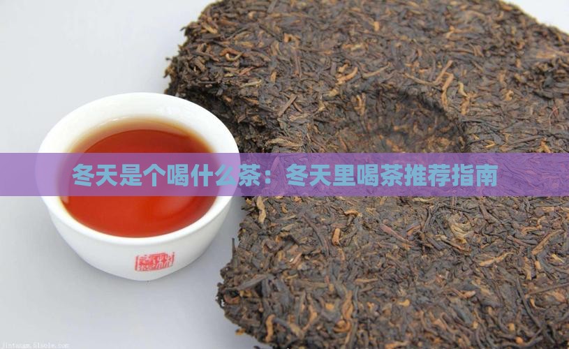 冬天是个喝什么茶：冬天里喝茶推荐指南
