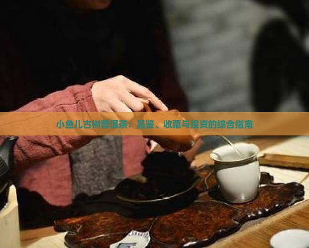 小鱼儿古树普洱茶：品鉴、收藏与投资的综合指南