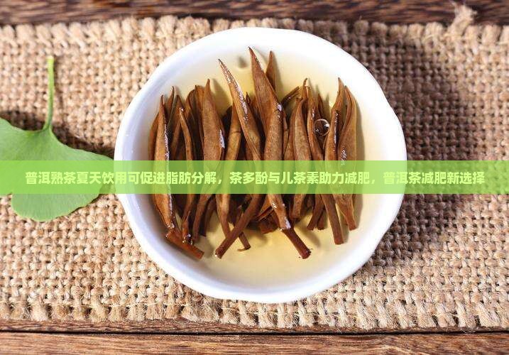 普洱熟茶夏天饮用可促进脂肪分解，茶多酚与儿茶素助力减肥，普洱茶减肥新选择