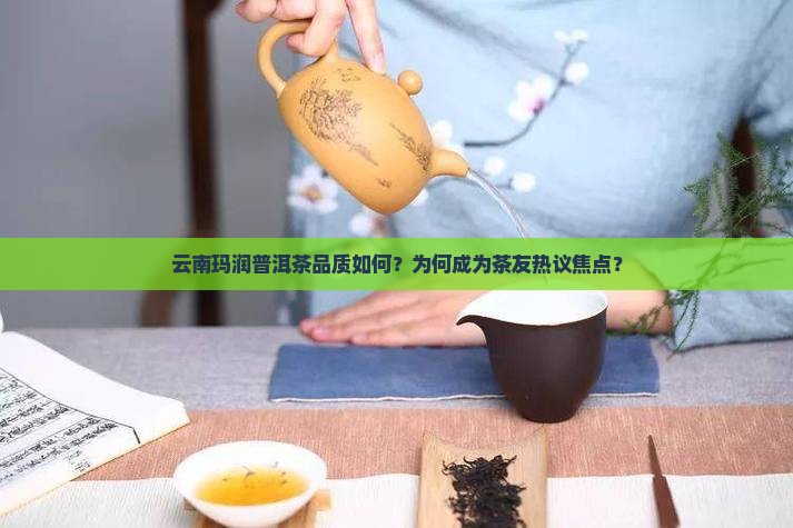 云南玛润普洱茶品质如何？为何成为茶友热议焦点？