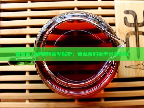 普洱茶几种独特香型解析：普洱茶的香型分类探究