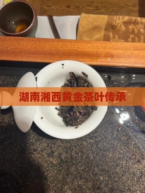 湖南湘西黄金茶叶传承