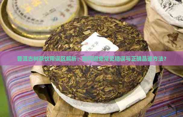 普洱古树茶饮用误区解析：如何避免常见错误与正确品鉴方法？