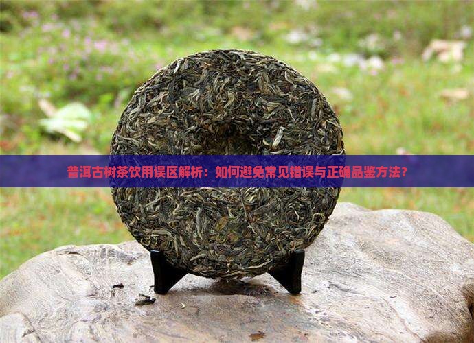 普洱古树茶饮用误区解析：如何避免常见错误与正确品鉴方法？