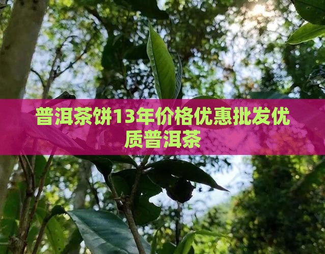 普洱茶饼13年价格优惠批发优质普洱茶