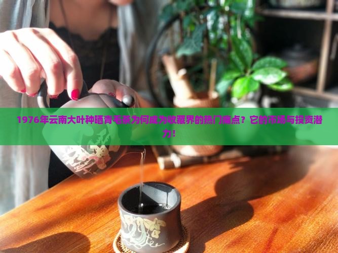 1976年云南大叶种晒青毛茶为何成为收藏界的热门痛点？它的市场与投资潜力！