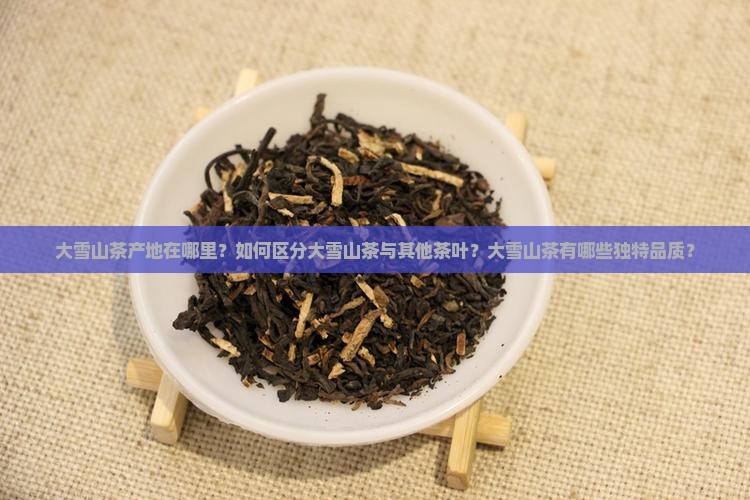 大雪山茶产地在哪里？如何区分大雪山茶与其他茶叶？大雪山茶有哪些独特品质？