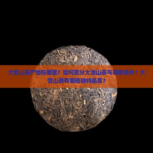 大雪山茶产地在哪里？如何区分大雪山茶与其他茶叶？大雪山茶有哪些独特品质？