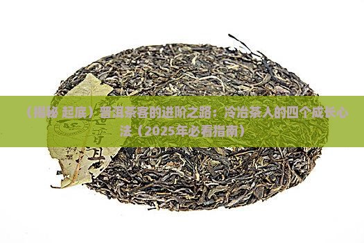 茶人冷冶普洱茶的四个阶段