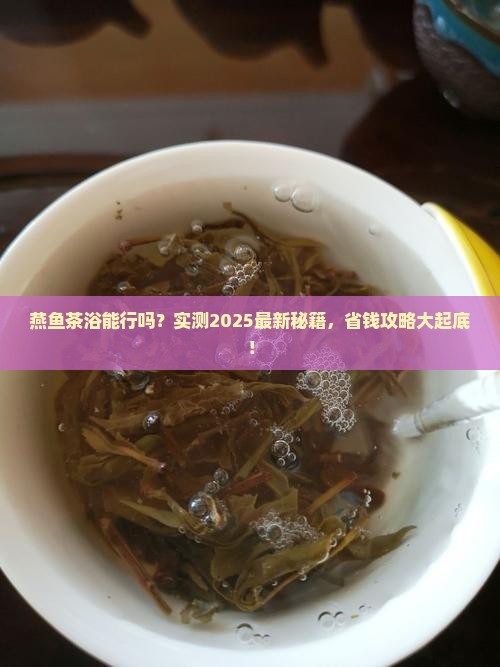 燕鱼能用普洱茶养吗