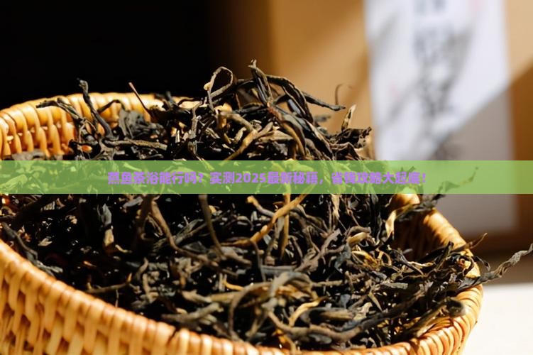 燕鱼能用普洱茶养吗