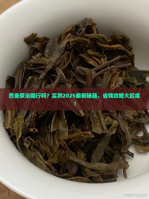 燕鱼能用普洱茶养吗