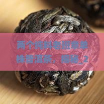 两个纯料老班章单株普洱茶