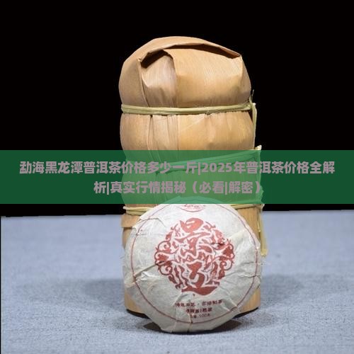 勐海黑龙潭普洱茶价格多少一斤