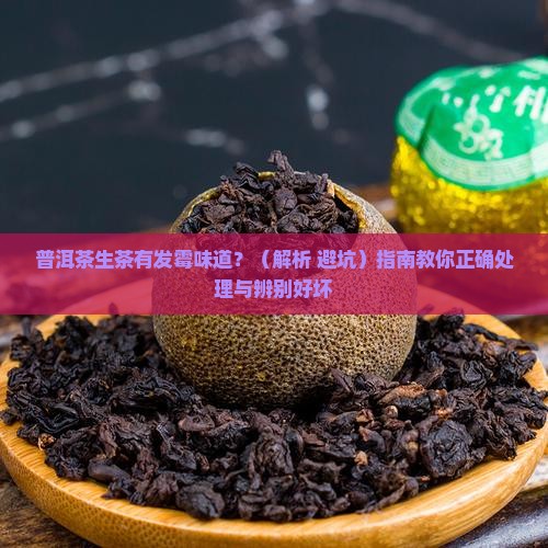 普洱茶生茶有发
