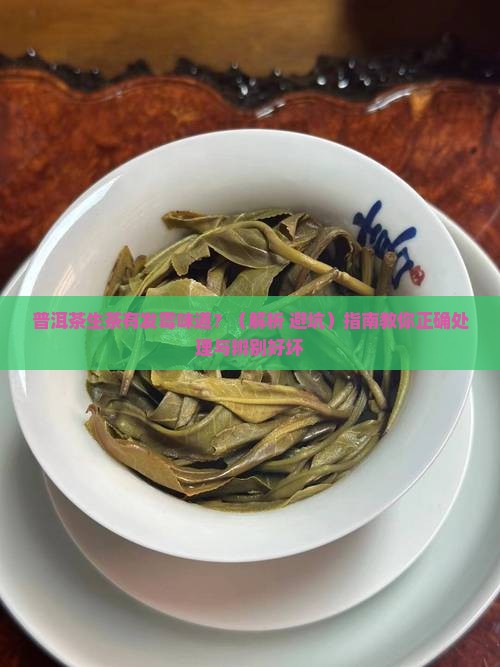 普洱茶生茶有发