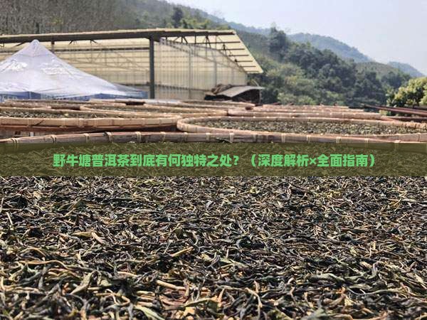 野牛塘普洱茶特点