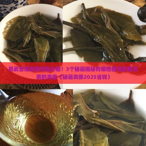 有橄榄香易武普洱茶吗
