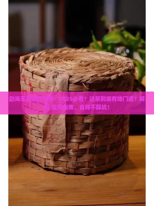 勐海无墨记普洱茶