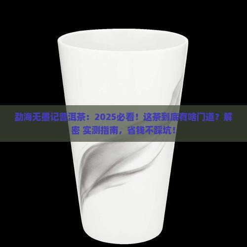 勐海无墨记普洱茶